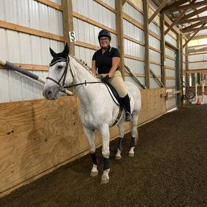 ISO ENGLISH TACK/APPAREL